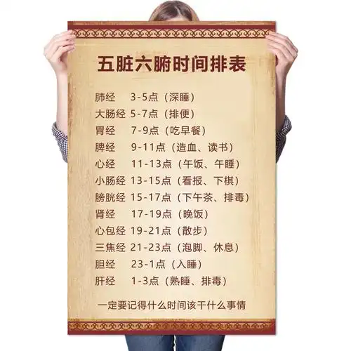 中医养生五脏六腑时间排表作息十二十二时时辰人体穴位写真