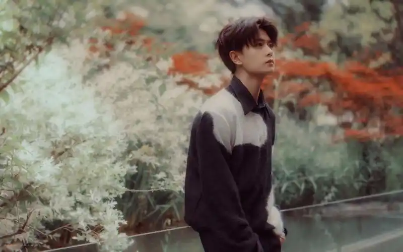 任嘉伦●2009-2021不完全总结||他这一路上