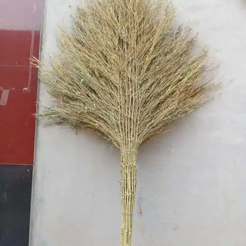 户外大扫把环卫扫帚扫马路庭院小笤帚物业清洁竹扫把园林手工扫把易品