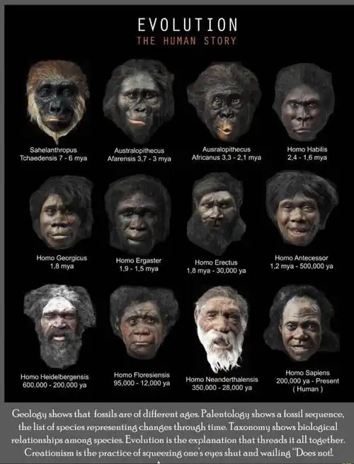 黄种人,白种人与黑种人都能自由繁衍,为什么不存在生殖隔离?