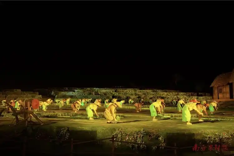 稻田大剧 田野狂欢丨原来水稻还能这么玩?