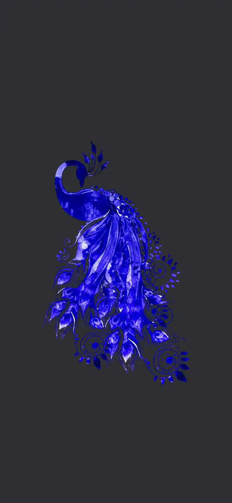 蓝色孔雀壁纸