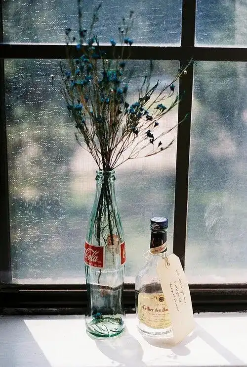 50条经典意境超仙的文艺句子!