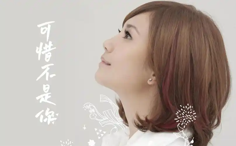 可惜不是你吉他谱梁静茹c调高清吉他弹唱谱