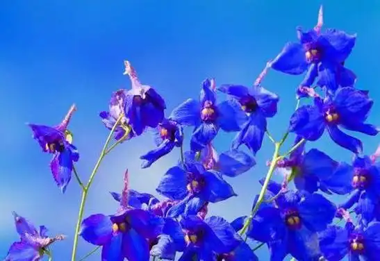 退网,落网?一字之差结局大不同!吴亦凡的事给男人提个醒