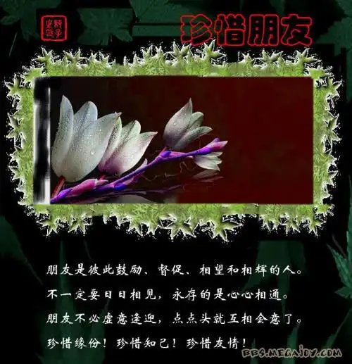 人真的能找到知心的朋友吗?   怎样看待人的一生?