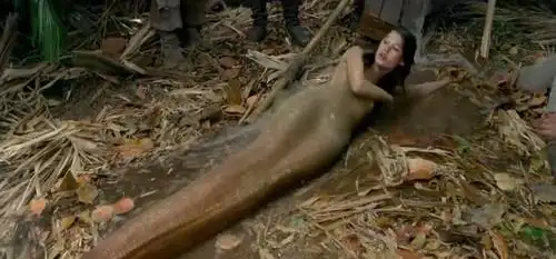 如果这些真实的图片还不足以让你相信世界上真的有美人鱼的话,那么