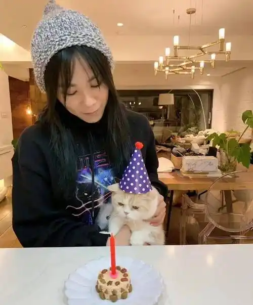 蔡健雅为心爱的猫咪庆生,两种文字表达爱意,真正的撸猫达人_约翰马丁