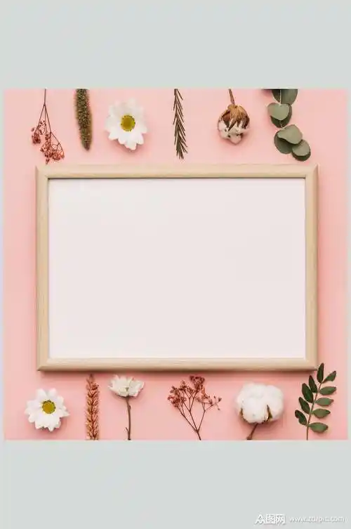 清新简约相框花语花朵高清图片模板下载-编号3115029-众图网