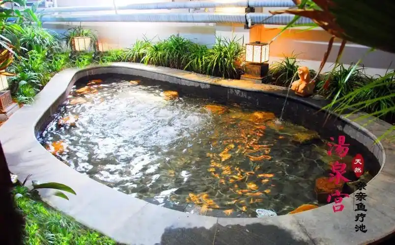 三伏天来啦!赶紧来遵化做这六件事!哈哈哈哈.