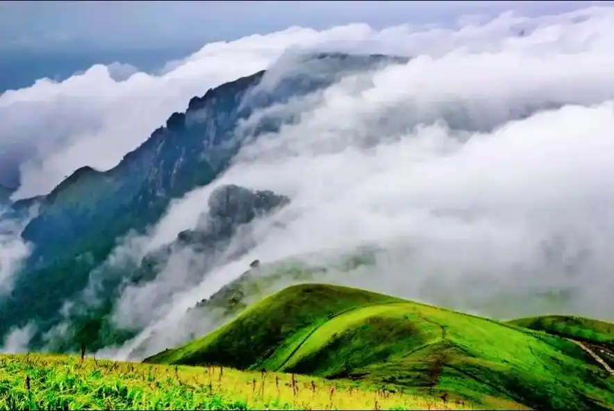 萍乡武功山地质公园一景——高山草甸.