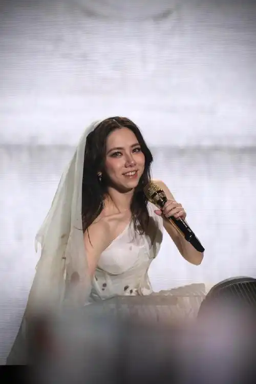 邓紫棋演唱会原图