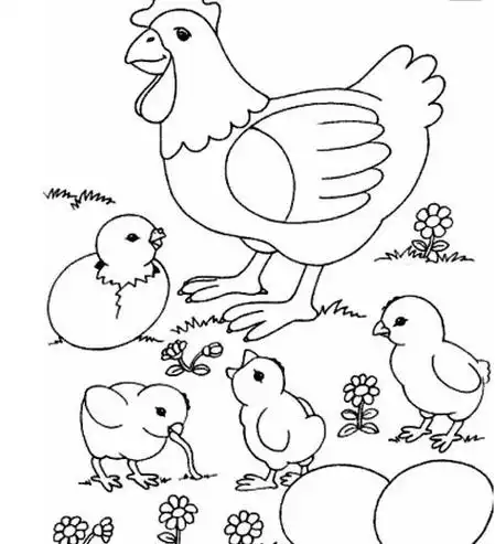 幼儿画画图片大全简笔画 幼儿画画图片大全简笔画作品