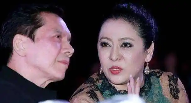 向太陈岚霸气:"我是向华强的女人"_丈夫_丁佩_李连杰