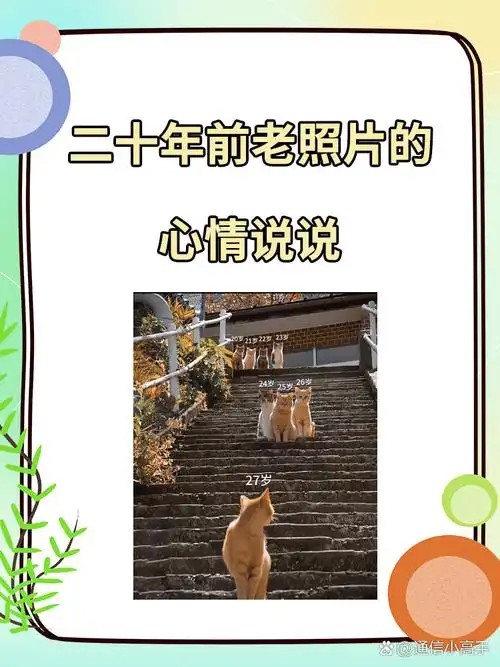 二十年前老照片的心情说说