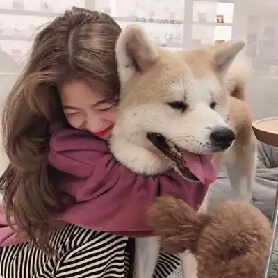 情头 对象不是人系列 情侣头像