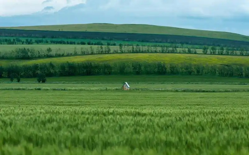 绿色草原自然风光桌面壁纸