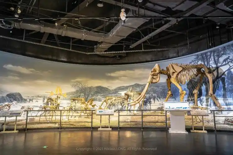 南京汤山国家地质公园博物馆省赛再获殊荣--法治网