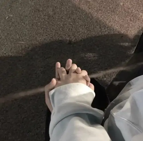 张嘉元:你只要闪光