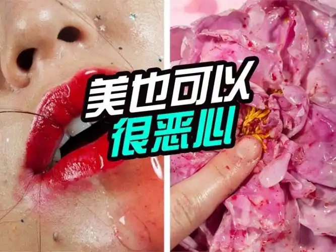 她拍的照片超级恶心,但所有人都说是大师级别的!