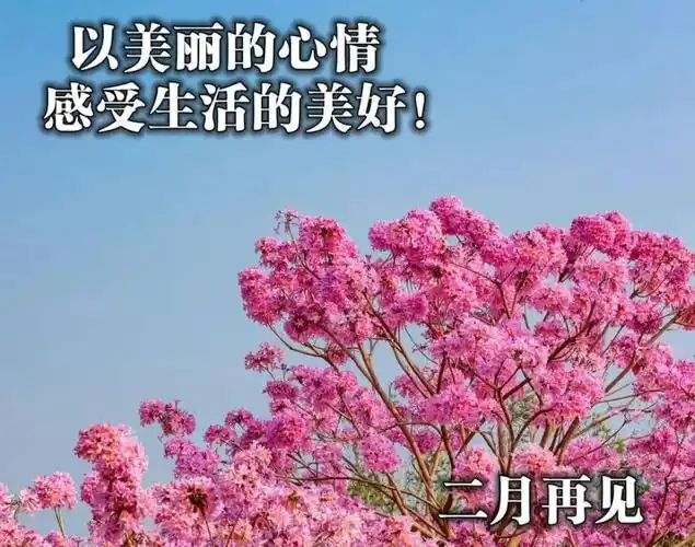 3月1日清晨早安问候动态表情图片2021最美早上好祝福美图