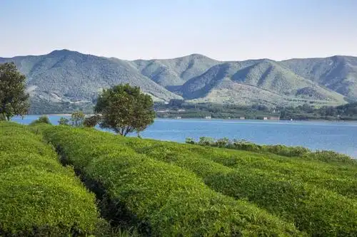 宜兴阳羡生态旅游度假区