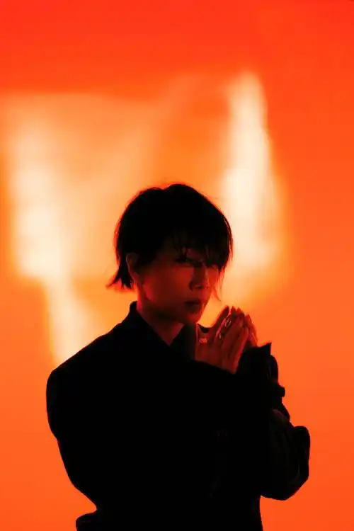 林忆莲2025巡演官宣 开启自我探索与疗愈的旅程