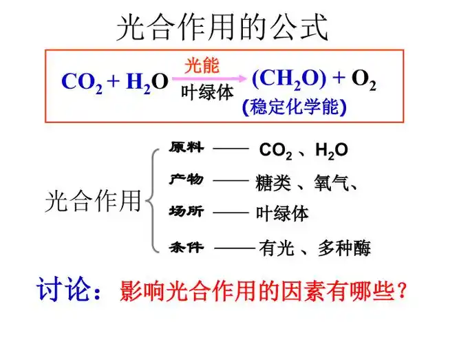 人教版高一生物必修1课件:5 3光合作用原理应用