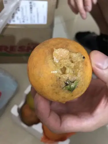 谁也逃不过并夕夕的真香定律