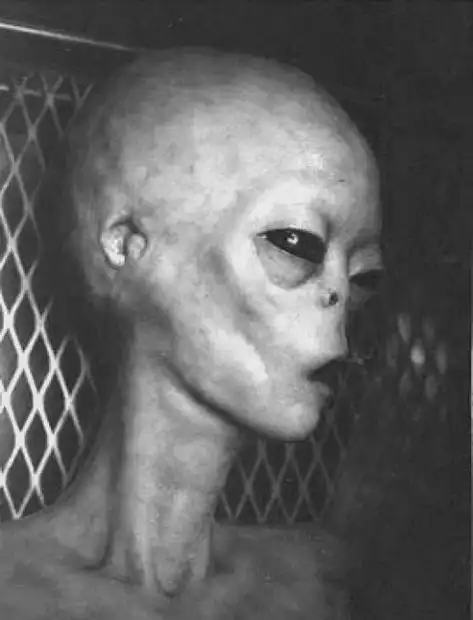 外星人可能战死了|外星文明|星球|宇宙|美国宇航局_网易订阅