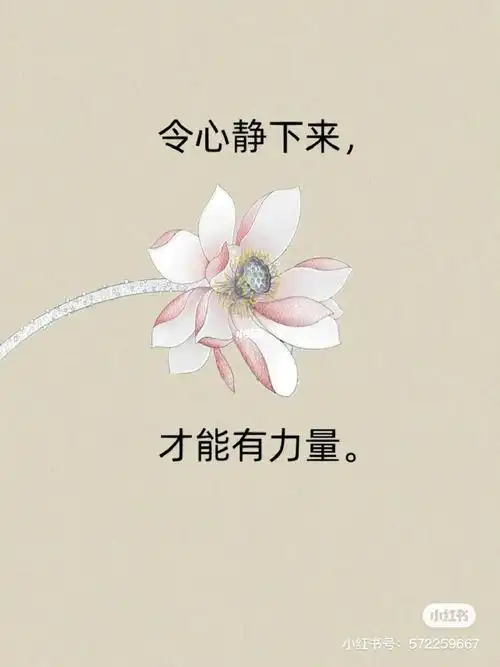 1080_1440竖版 竖屏