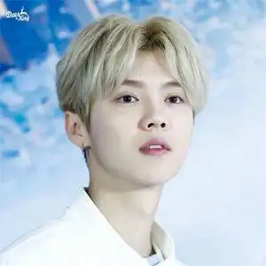 class=h>鹿晗 /span>同款中分刘海韩版帅气学生短卷发逼真蓬松 span