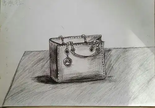 作品名称:《手袋》作者姓名: 唐承钰作者年龄:10岁作品类别: 素描奖