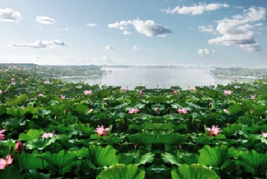 皇甫松的两首词,清新质朴,场景之美非画笔可以描绘