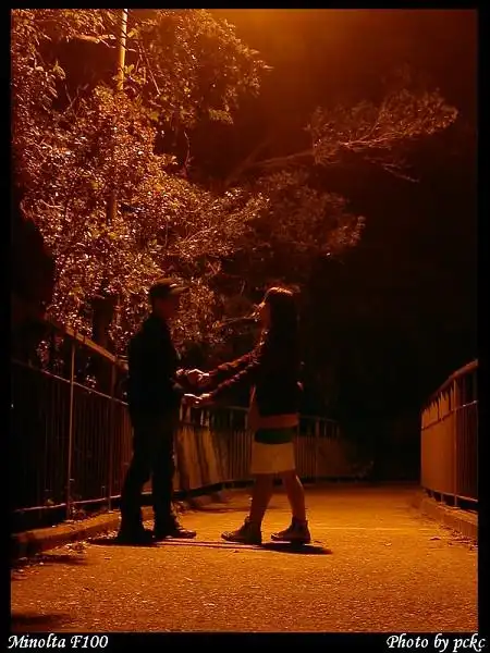 路灯下的恋人#2