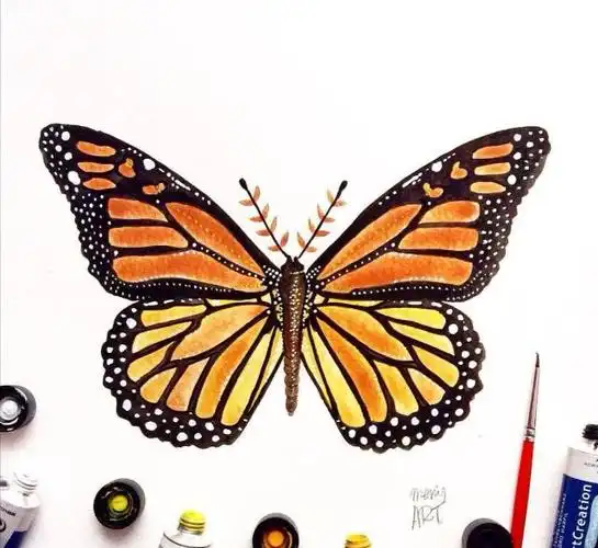 超美的一组水彩蝴蝶插画分享!