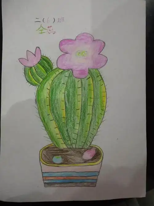 10班和 二年级1至6班美术作品)