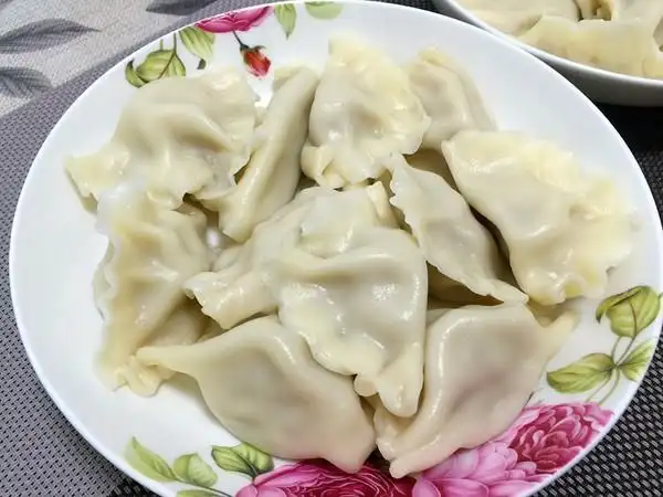 胖兔几micky做的洋葱肉水饺洋葱肉水饺饺子首页登录注册作品动态菜单