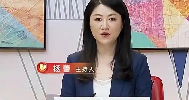 上海主持人杨蕾与土豆网总裁闪婚闪离搭档房海燕离开压力大