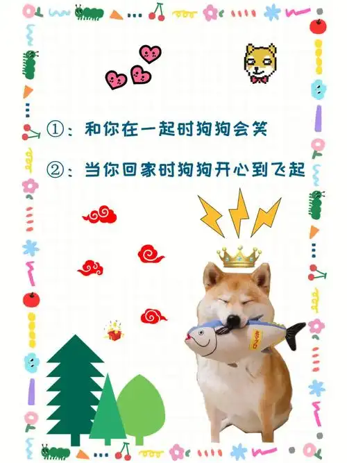 狗狗表达爱意的六种方式06