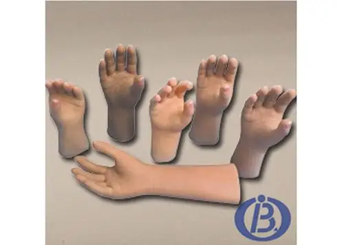 建德英中耐手掌假肢哪家好创新服务