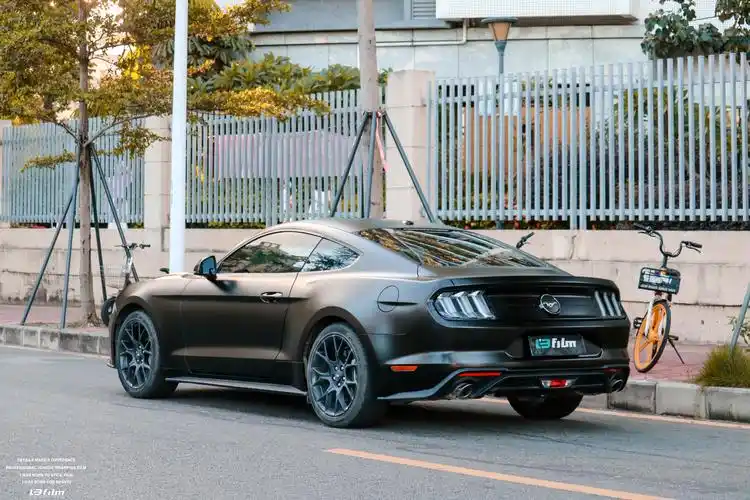 黑的一批的野马-黑武士