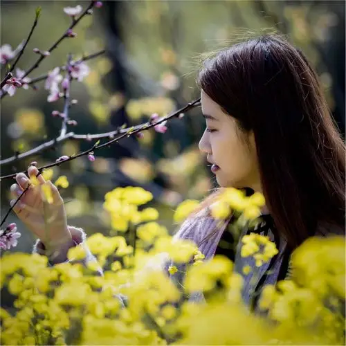 《春天的微笑》