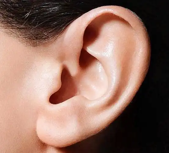 从耳朵看你一生的钱财运势