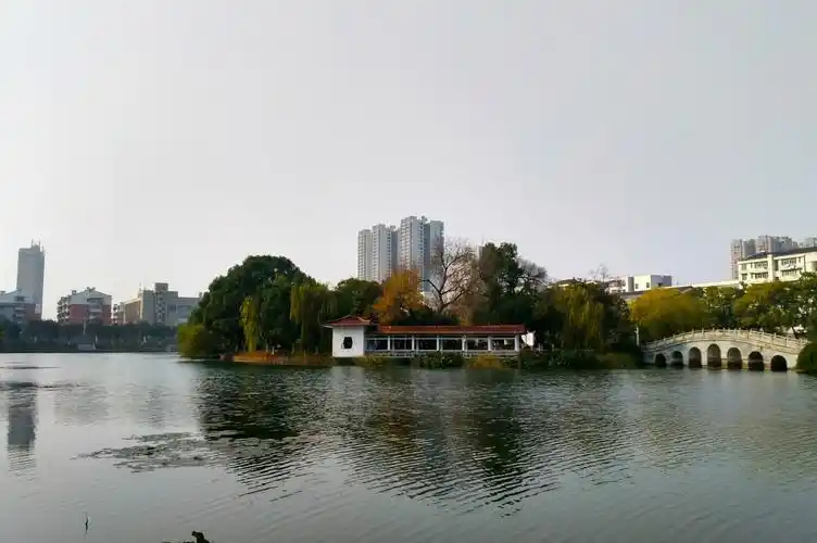 会说话的津市后湖