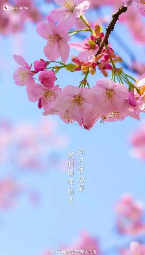 送你一组#早春加油壁纸#↓↓祝你生活甜蜜,逢考必过,offer到手.