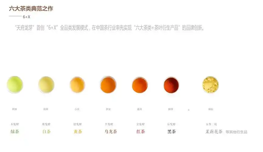 了解六大茶类的区别特性和选择不再发愁选什么茶