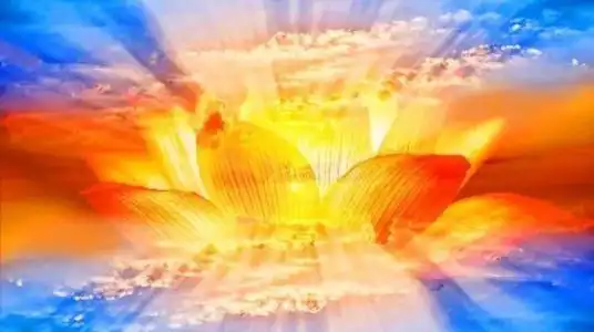 不只是你一个人