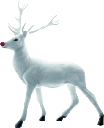 白色麋鹿