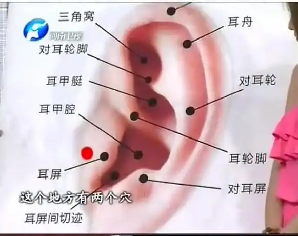 透过耳朵看健康--"当代扁鹊"色诊大师王鸿谟